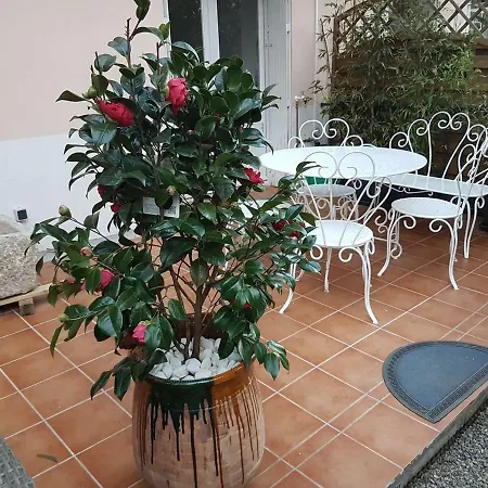 Διαμέρισμα 23 Rue Jean Amade *