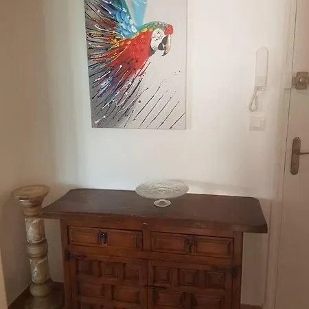 Daire 23 Rue Jean Amade Céret